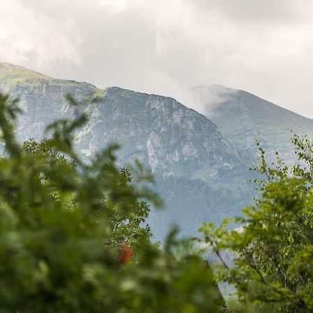 Rent Like Home - Zborowskiego 1 Zakopane Bagian luar foto