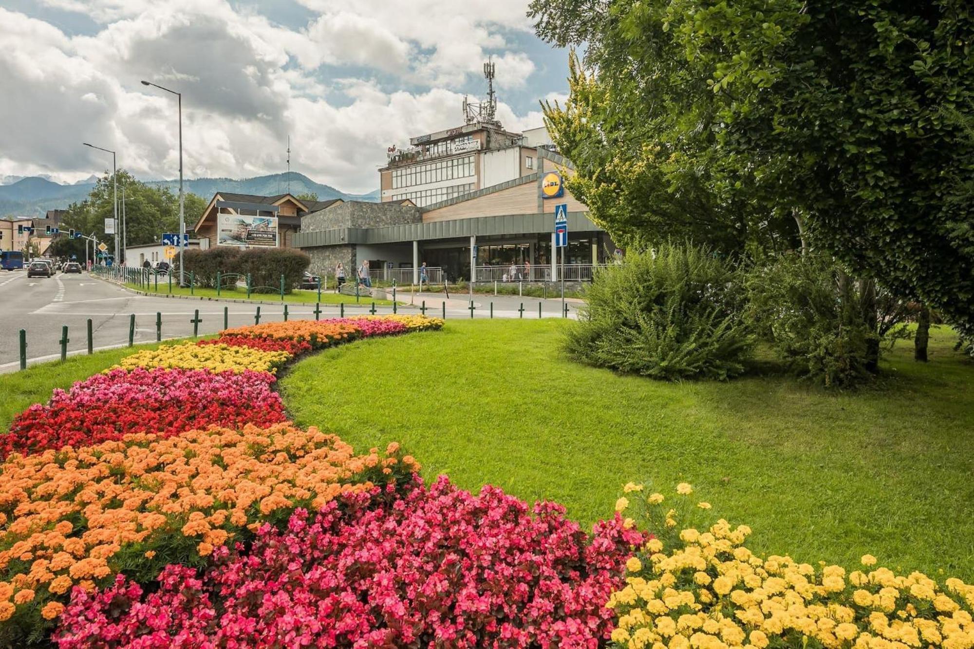 Rent Like Home - Zborowskiego 1 Zakopane Bagian luar foto