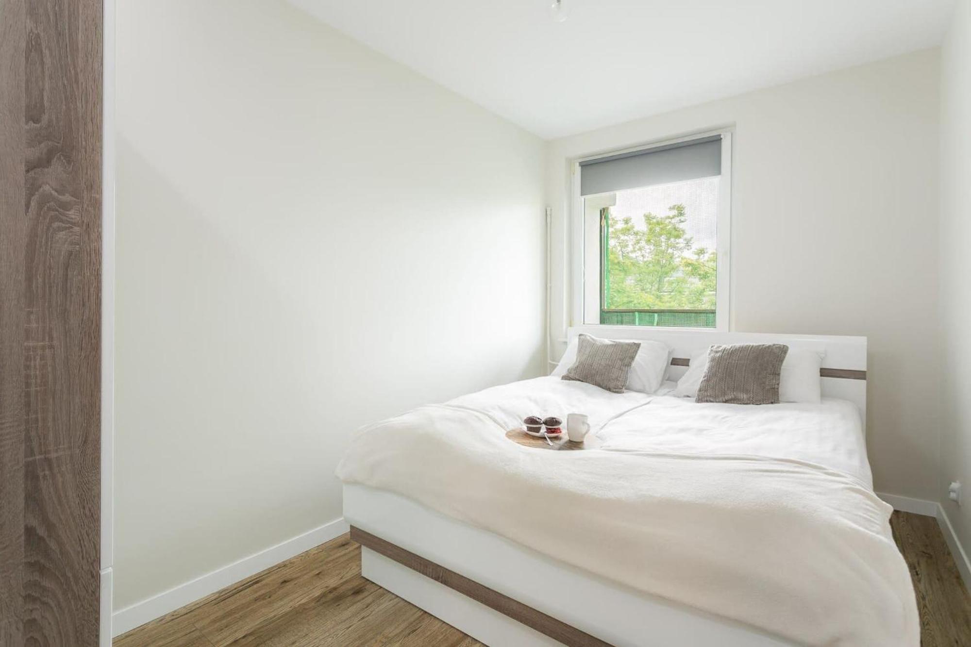 Rent Like Home - Zborowskiego 1 Zakopane Bagian luar foto